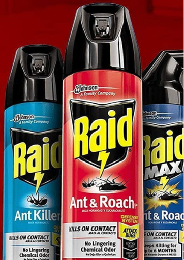 Raid ant&roach LG case 12pk