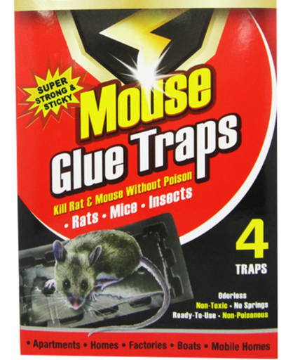 Mouse trp real tough sm